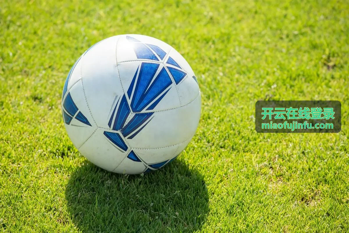 开云在线登录异常提醒与登录记录查看